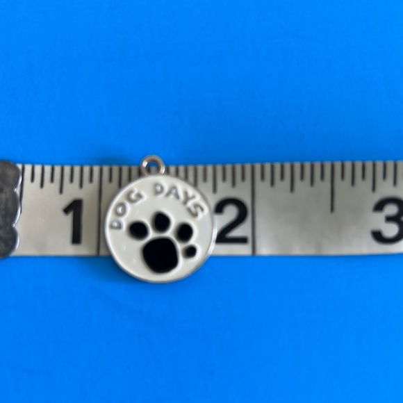 🎁  Select Your Dog Charm Style - Picture 4 of 10